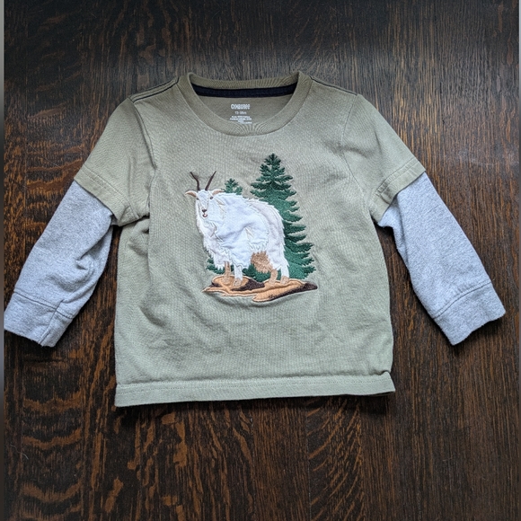 Gymboree Other - Gymboree Green and Gray Long Sleeve Mountain Goat Toddler Shirt
